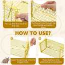 Qualirey 8 Pcs Humane Rat Trap Chipmunk Squirrel Cage Trap 4.33 x 4.33 x 9.06 Inches Foldable Rodent for Small Live Animal Voles Hamsters Catch and Release for Kitchen Yard Garage (Yellow)