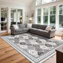 Washable Rugs 8x10, Soft Non-Slip Boho Moroccan Rug, Low-Pile Printed Area Rug Gray Rug for Living Room, Bedroom, Dining Room -Gray/Gold