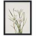 Poster Master 3-Piece Vintage White Flowers Poster - Retro Flower Print - Floral Art - Botanical Art - Gift for Men & Women - Aesthetic Decor for Bedroom, Living Room or Dorm - 8x10 UNFRAMED Wall Art (8L" x 10W", Style-05)