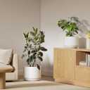 LE TAUCI 12 Inch Pots for Plants, Ceramic Plant Pots with Drainage Holes and Saucers, Elegant and Durable Large Plant Pot, Perfect for Home & Office Decor, White