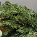 National Tree Company 4 ft Pre-Lit Dunhill Fir Mini Artificial Christmas Tree, 200 Warm White LED Lights, 559 Tips, Includes Stand, Green