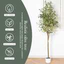 Olive Tree 6FT Fake Tree Faux Plants Indoor with Pot Artificial Tree Nearly Natural Olive Branches and Fruits for Living Room Home Office Decorations,6FT-02