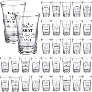 Take A Shot We Tied The Knot,Plastic Shot Glasses, 36 Count