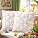 2 x Shzbtdo Easter Pillow Covers 18x18, Bunny Easter Decorations for Home, Soft Plush Throw Pillow Covers Pillowcases for Couch Sofa Bed Spring Decor, Hidden Zipper