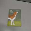 Sit, Stay, Grow: How Dogs Can Help You Worry Less and Walk Into a Better Future