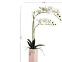 Dolly Parton White Artificial Orchid in Pink Ceramic Pot, 9.8x5.5x24 Inch