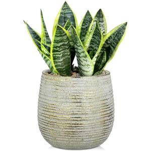 DILATATA Ceramic Pots with Drainage Hole 6.7 Inch Flower Plant Pot Indoor Round Planter Pot for Succulents, Cacti, Cactus, Snake Plants Home Decor - Gold