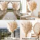 57 Inch 20 Stems Tall Pampas Grass for Floor Vase, Large Fluffy Dried Pampas Grass Decor, Beige Long Pampas Grass, Tall Vase Filler for Living Room, Wedding & Boho Home Decor
