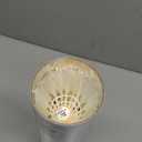 Goose Feather Badminton Shuttlecocks Birdies, 12 Pack Hight Speed Training Badminton Balls with Great Stability for Indoor Outdoor Sports (White)