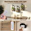 Wall Plant Holder with Light, 3 Pack Floating Shelves for Wall