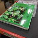 Japanese Maples Second Edition Hardcover