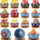 12 Pcs Small Succulent Pots Bulk with Drainage Assorted 2.5 Inch Mini Ceramic Succulent Planters Pot with Coaster Bamboo Saucers Planting Pots for Garden Home Office, 8 Colors