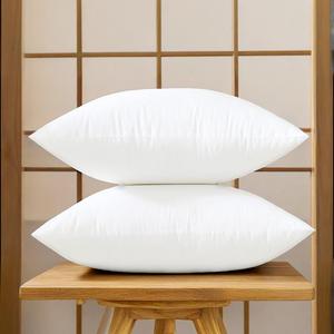 Set of 2, Square Decorative Throw Pillows Inserts Down Alternative Pillow Insert for Bed Sofa, 16 X 16 Inches
