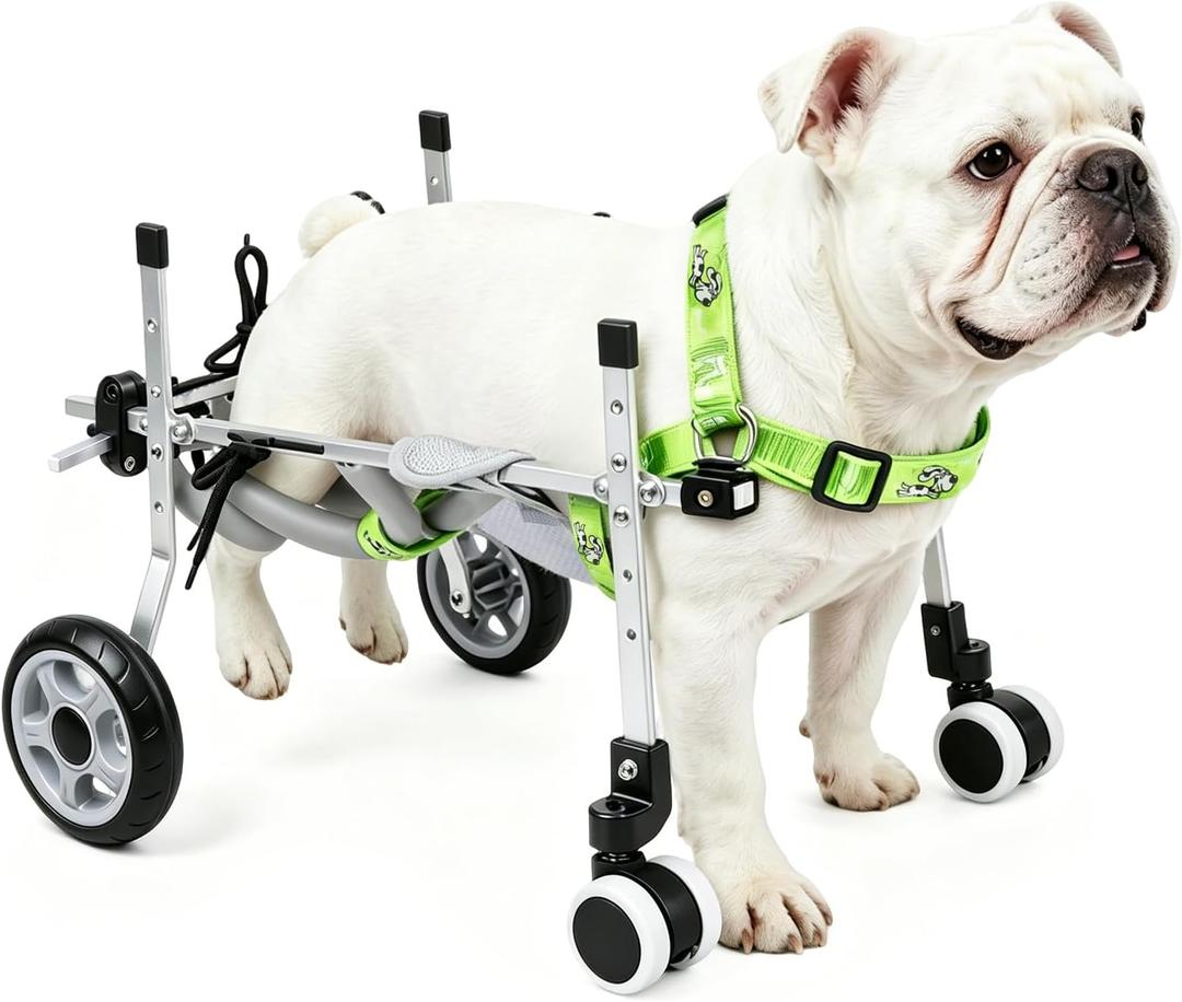 4-Wheel Dog Wheelchair for Back Legs - Switch Between 2 & 4-Wheel Modes, Helps Pets Walk Run and Play Again, Suitable for Small/Medium Pets Under 16.5 lbs (M) HPWC-4WM