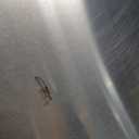 Aluminum Pizza Peel Metal - 12 x 14 Inch. Pizza Spatula for Oven with Foldable Wood Handle. Pizza Oven Accessories Tools. Turning Peel, Bread, Pastry, Dough, Cake Spatula