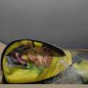 School Bus Pop-Up Kids Tent with Sound Play Button, Ball Pit for Toddler & Up - Easy Setup Tent for Indoor & Outdoor, Daycare Playground Activities & Pretend Play, Great for Kids