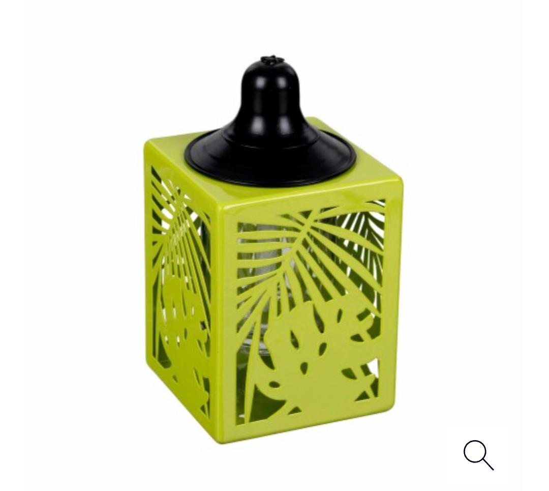 Everyday Living Oil Torch Palm Leaf - Green