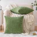 EMEMA 20"x20" Inch Pillow Covers Set of 2 Soft Chenille Throw Pillow Covers Decorative Couch Square Pillow Covers Modern Solid Dyed Pillowcases for Sofa Bed Green 50x50cm(Only Covers)