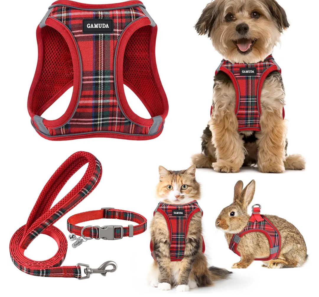 GAMUDA Small Dog Harness Collar and Leash Set, Step in No Chock No Pull Soft Mesh Adjustable Dog Vest Harnesses Plaid Reflective for Dogs Puppy Cats Kitten Rabbit (Red, S)