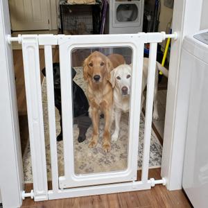 Auto Close Baby Gate for Stairs and Doorways, Pressure Mounted Pet Gate for Dogs, Extra Wide & Tall Child Safety Gate with Walk Through Door for House, No Drill Adjustable Indoor Barrier