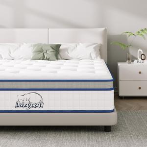 Twin XL Mattress, 12 Inch Twin XL Size Hybrid Mattress in a Box with Memory Foam and Individual Pocket Springs, Extra Lumbar & Shoulder Support, Pain Relief Fiberglass-Free