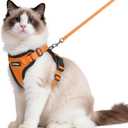 Rabbitgoo Cat Harness and Leash for Walking, Escape Proof Soft Adjustable Vest Harnesses for Cats, Easy Control Breathable Reflective Strips Jacket, Blue, M