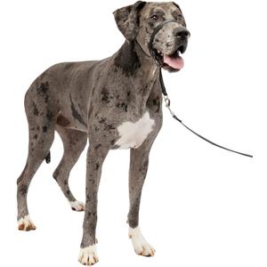 PetSafe Gentle Leader No-Pull Dog Headcollar - The Ultimate Solution to Pulling - Redirects Your Dog's Pulling for Easier Walks - Helps You Regain Control - X-Large, Black
