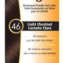 Bigen Powder Hair Color #46 Light Chestnut 0.21oz (3 Pack)