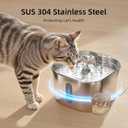 SARPAWS Cat Water Fountain Stainless Steel74oz/2.2L Water Fountains for Cats Indoor, Cat Fountains for Drinking, Ultra-Quiet, Water Level Window, Pet Water Fountain - 2 Filters + 2 Sponges