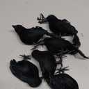 ZODIFEVI Bonarty 6X Real Touch Black Feathered Crows Flying Birds Halloween Decorations Raven Prop Outdoor Crows Halloween Decor Raven Statue Fake