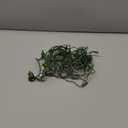 50-Count White Christmas Lights with Green Wire,Mini String Lights for Holiday Decorations, Christmas Tree Lights, Holiday Party, Wedding, Xmas, Home, Indoor & Outdoor Use (13ft Long)