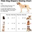 5 Pack Dog Diapers Male Reusable, Premium Belly Bands for Male Dogs, High Absorbing Male Dog Pee Wraps for Doggie in Incontinence or Excitable Urination and Training, Dino M