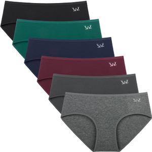 Benirap Womens Underwear Soft Cotton Hipster Panties Breathable Briefs  6 Pack (Large)