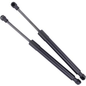 ApplianPar 2Pcs Front Hood Lift Support Shock Struts for BMW 640i 650i 520i 528i 523i Left and Right Side