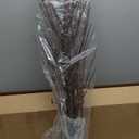 Birchlitland Brown Tree Lights Plug in for Christmas Party Lighted Artificial Tree LED Indoor Outdoor use