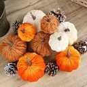 Fall Decor,Velvet Pumkins