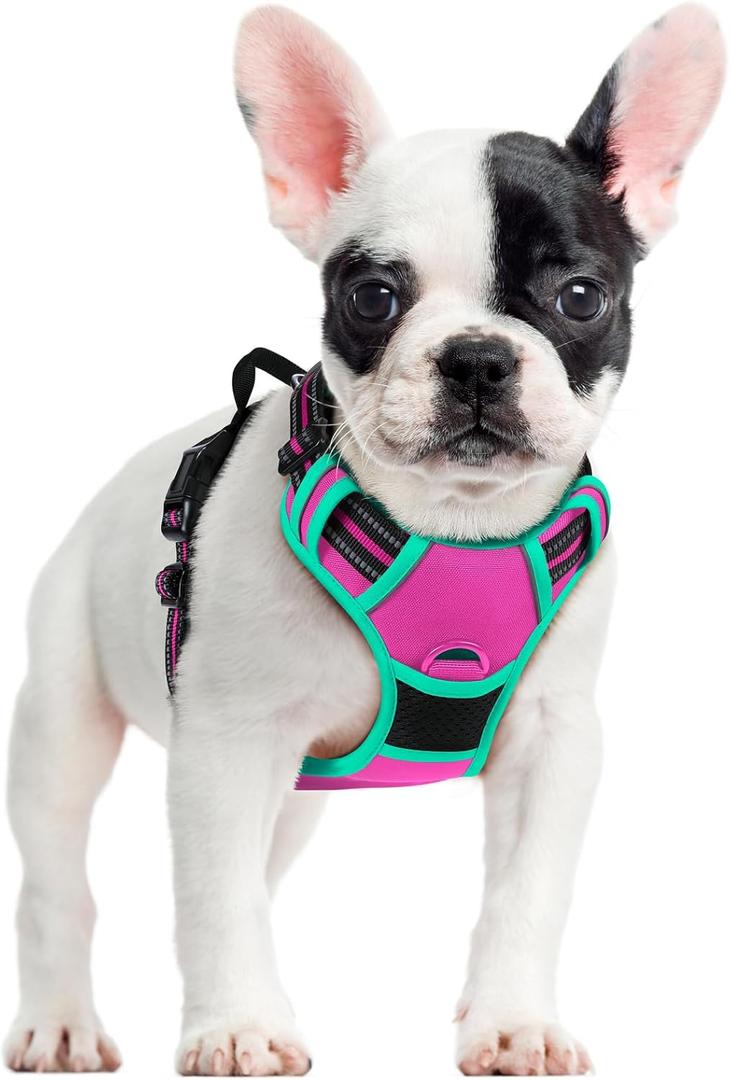 rabbitgoo Dog Harness No Pull with 2 Leash Clips, Adjustable Soft Padded, Reflective Oxford No Choke Pet Vest with Easy Control Handle for Large Dogs, Hot Pink & Turquoise, Small