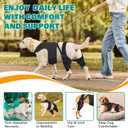 Dog Knee Brace Double Leg Support with Vest - Orthopedic Joint Stabilizer for ACL Tear, Arthritis, Patella Recovery - Adjustable Non-Slip Recovery Brace for Small Middle Large Dogs (XXL)