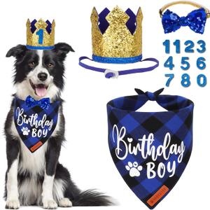 ADOGGYGO Dog Birthday Party Supplies, Blue Plaid Birthday Boy Dog Bandana, Golden Pet Party Hat with Numbers, Bowtie for Medium Large Pets (Large)