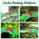 2 x Tree Frog Tank Accessories & Turtle Basking Platform 3PCS Set Leaf Decor - Reptile Habitat Decoration, Terrarium Accessories with Suction Cups for Turtles, Frogs, Geckos & Toads (Leaf)