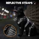 BENCMATE Dog Harness, Dog Lift Harness, Multipurpose Designed Harness with Reflective Strips, Dog Rehabilitation Lifts Vest for Old, Disabled, Joint Injuries, Arthritis, Paralysis Dogs(XXLarge)