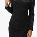 ALLANDWELL Women's Elegant Floral Lace Fixed V Neck Fluttering Short Sleeves Knee Length Dress, Large 