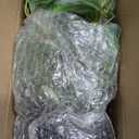 2 Packs Artificial Plants in Black Pot Tradescantia Zebrina Fake Plants Potted Decorative Faux Plant for Home Kitchen Decor