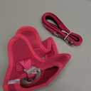 rabbitgoo Dog Harness Small Sized and Leash Set, Step in Soft Light Puppy Vest, Breathable Mesh Pet Harness, Reflective for Safe Easy Walking, Rose Red, (XS (Chest: 13.3 - 15.5"))