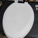 KOHLER Stonewood Quiet-Close, Elongated Toilet Seat Soft Close, Durable Wood, Easy Installation, Universal Fit, Home Essentials, Biscuit Finish, K-20466-96