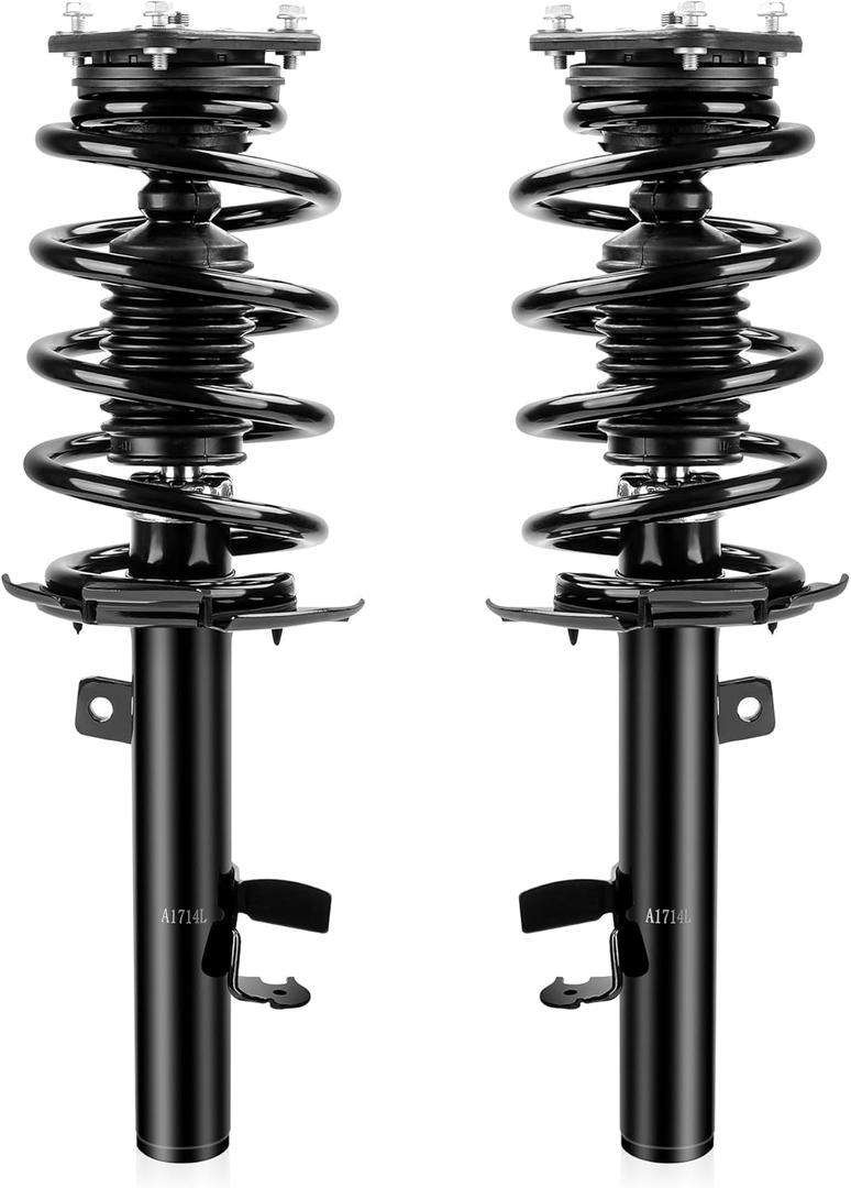 Richeer Front 2 PCS Strut Assembly Compatible with 2014-2019 Escape, Shock Absorber Front with Coil Spring Steel Replacement 172750 172751