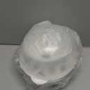 truTRTL Electric Egg Cooker | Boils upto 7 eggs | Poacher | Omelet maker | Vegetable steamer, dumpling & More | Marble