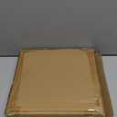 TP 10.5" Melamine Paper Plates, Reusable Outdoor Plates for Parties or Picnics, Round, Set of 5, Light Pink