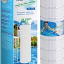 TOREAD Pool Filter Replacement for Pentair CC150, CCRP150, PAP150, PAP150-4, Ultral-C4, PP-C4, Unicel C-9415, R173216, 59054300, Filbur FC-0687, 160317, 160355, 160352, L x OD: 31 1/8" x10 1/16"