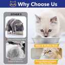 2-Pack Stainless Steel Cat Food Bowls, Shallow Whisker-Friendly Non-Slip Silicone Base Metal Dishes, Easy to Clean Indoor Water Flat Plates for Cat, Kitten, Small Dog (5.9")